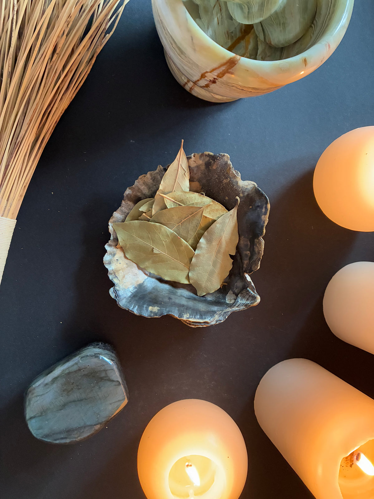 Bay Leaves – 10 Leaves | Herbs for Witchcraft & Magic