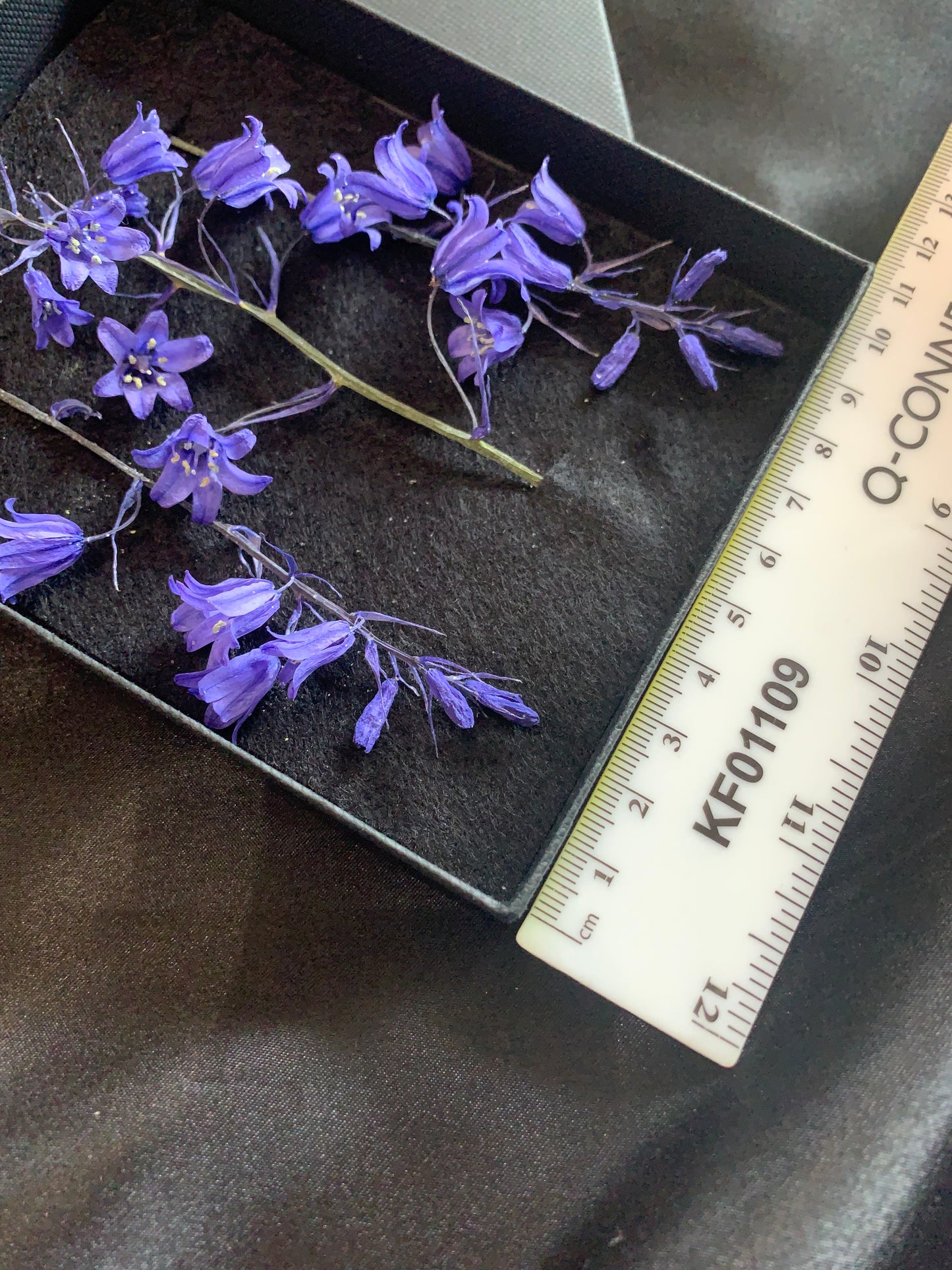 Bluebell - 3 Stems Real Dried Bluebell Flowers