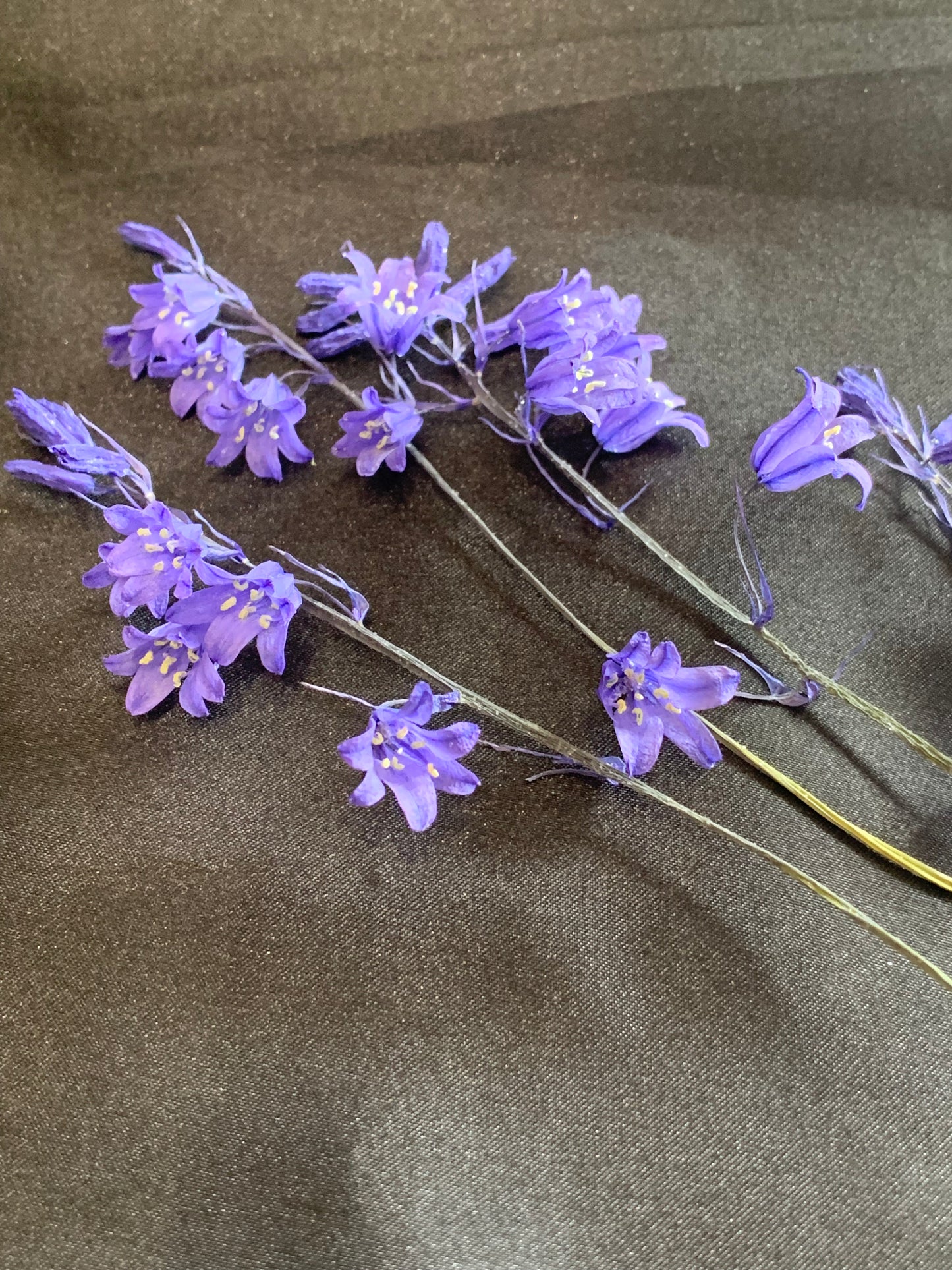 Bluebell - 3 Stems Real Dried Bluebell Flowers