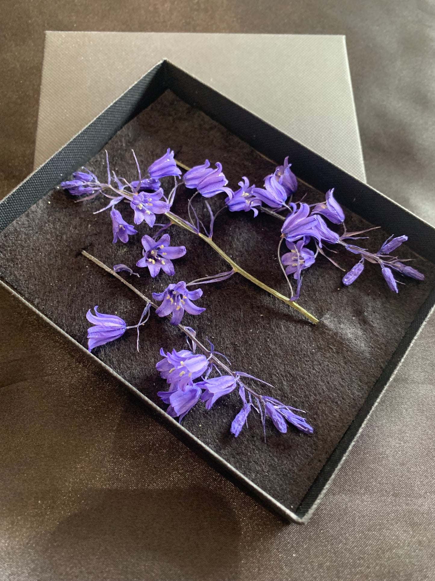 Bluebell - 3 Stems Real Dried Bluebell Flowers