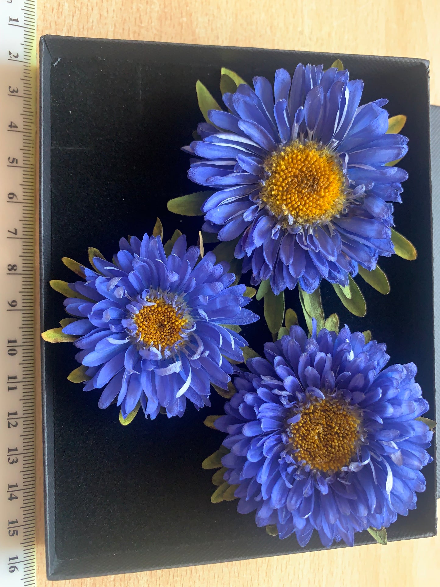 Callistephus - 3 Real Dried Flowers