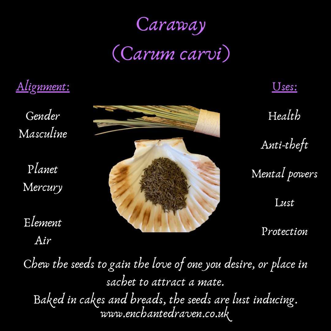 Caraway Seed