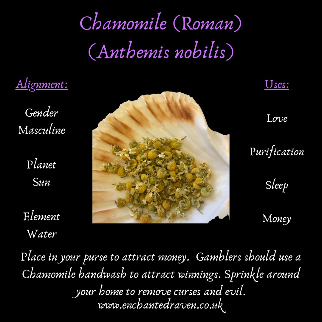 Chamomile - 10g dried Chamomile