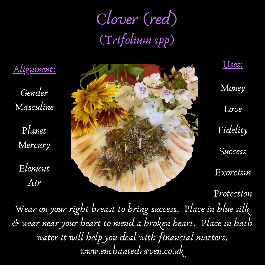 Red Clover - 5g