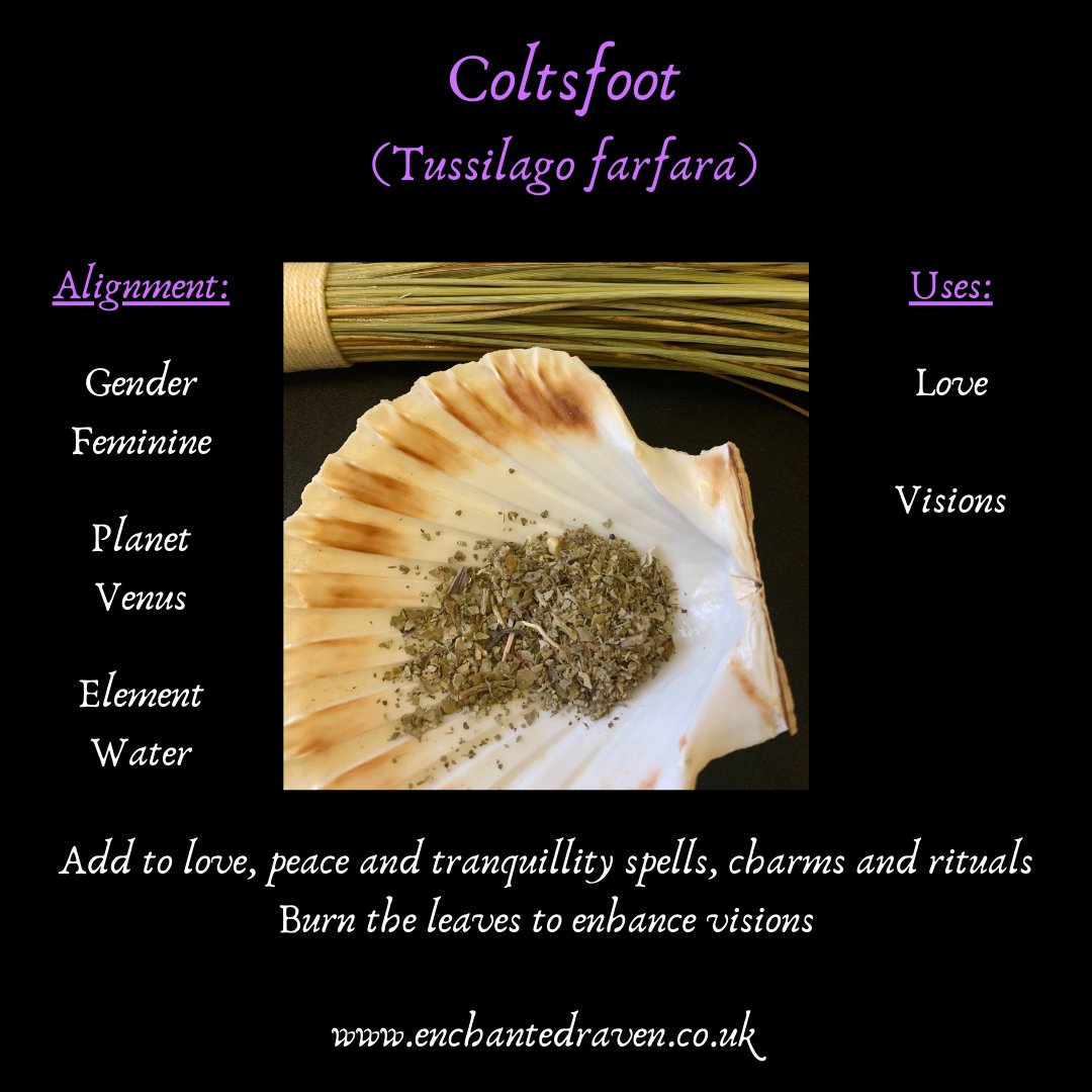 Coltsfoot