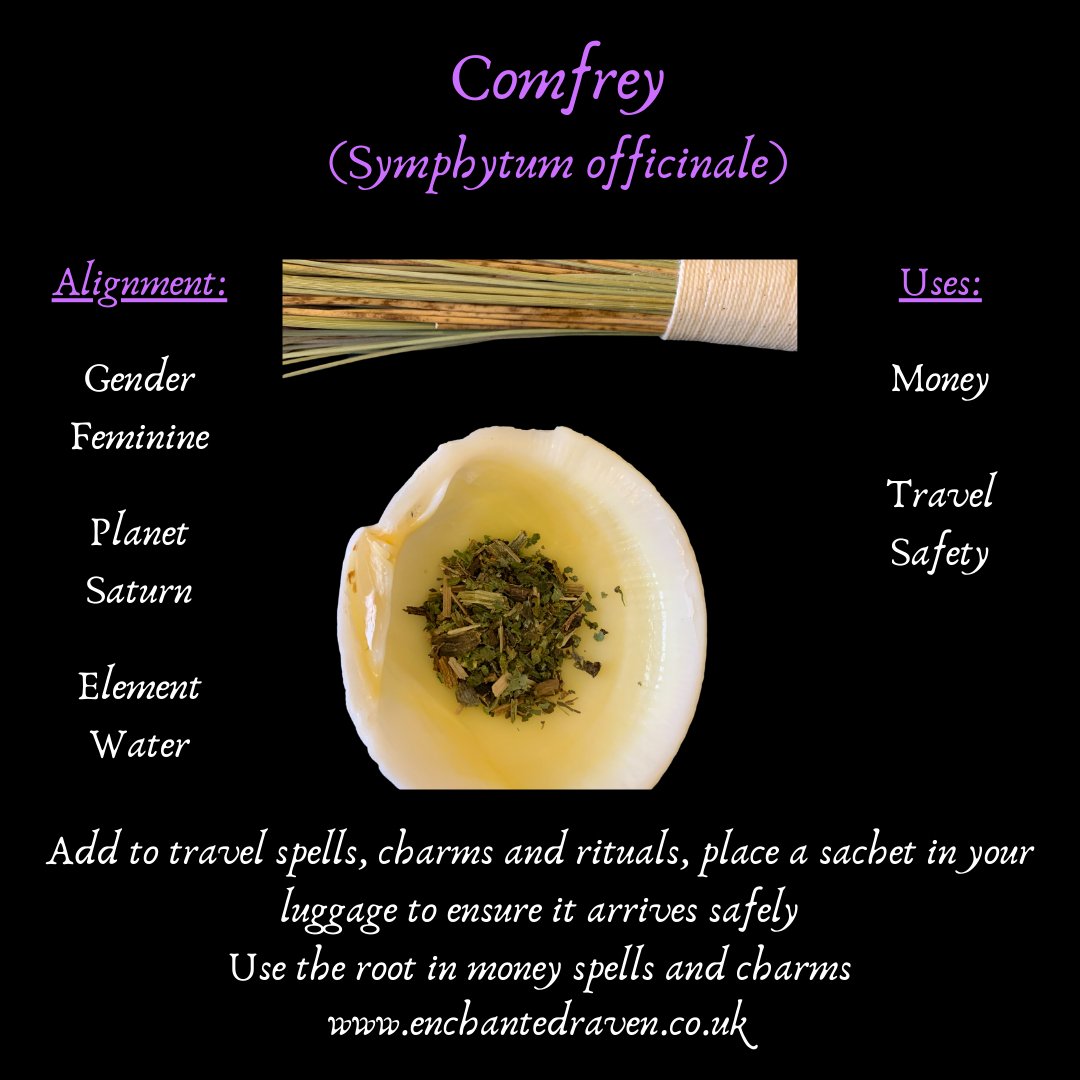 Comfrey Leaf