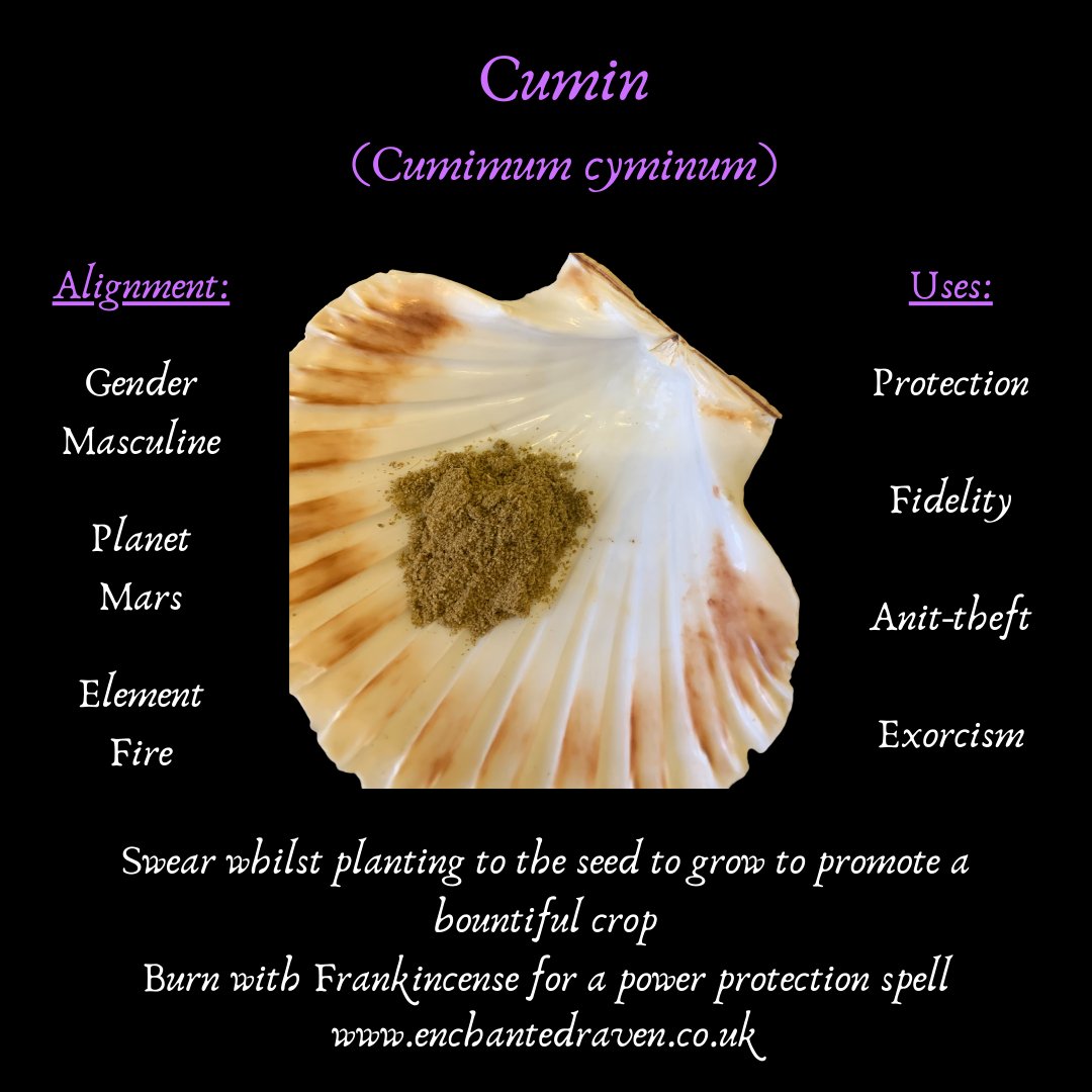 Cumin Powder