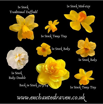 Dried Daffodils - 12 Real Dried Teeny Tiny Daffodils