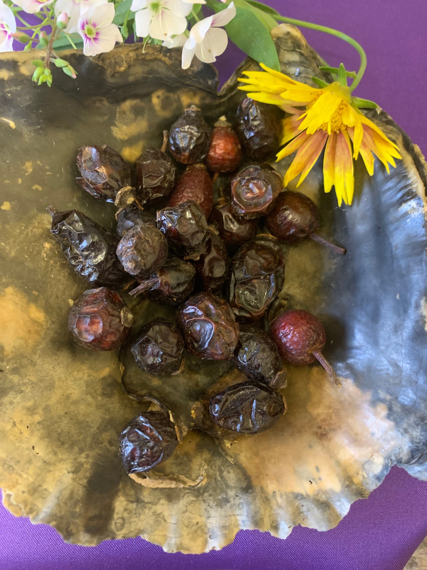 Rosehips - Whole or Granules, Dried