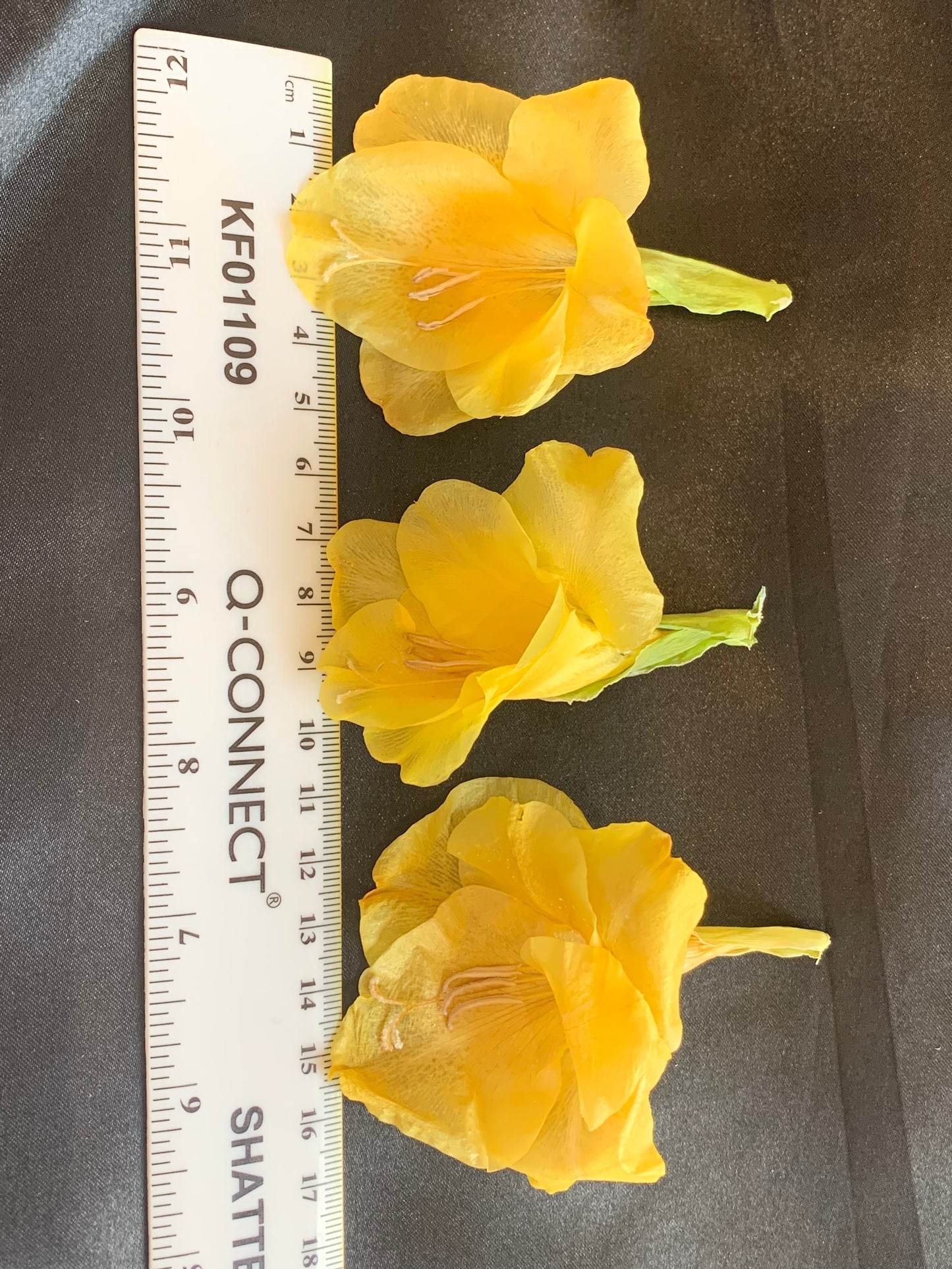 Freesia - 6 Blue Real Dried Freesia