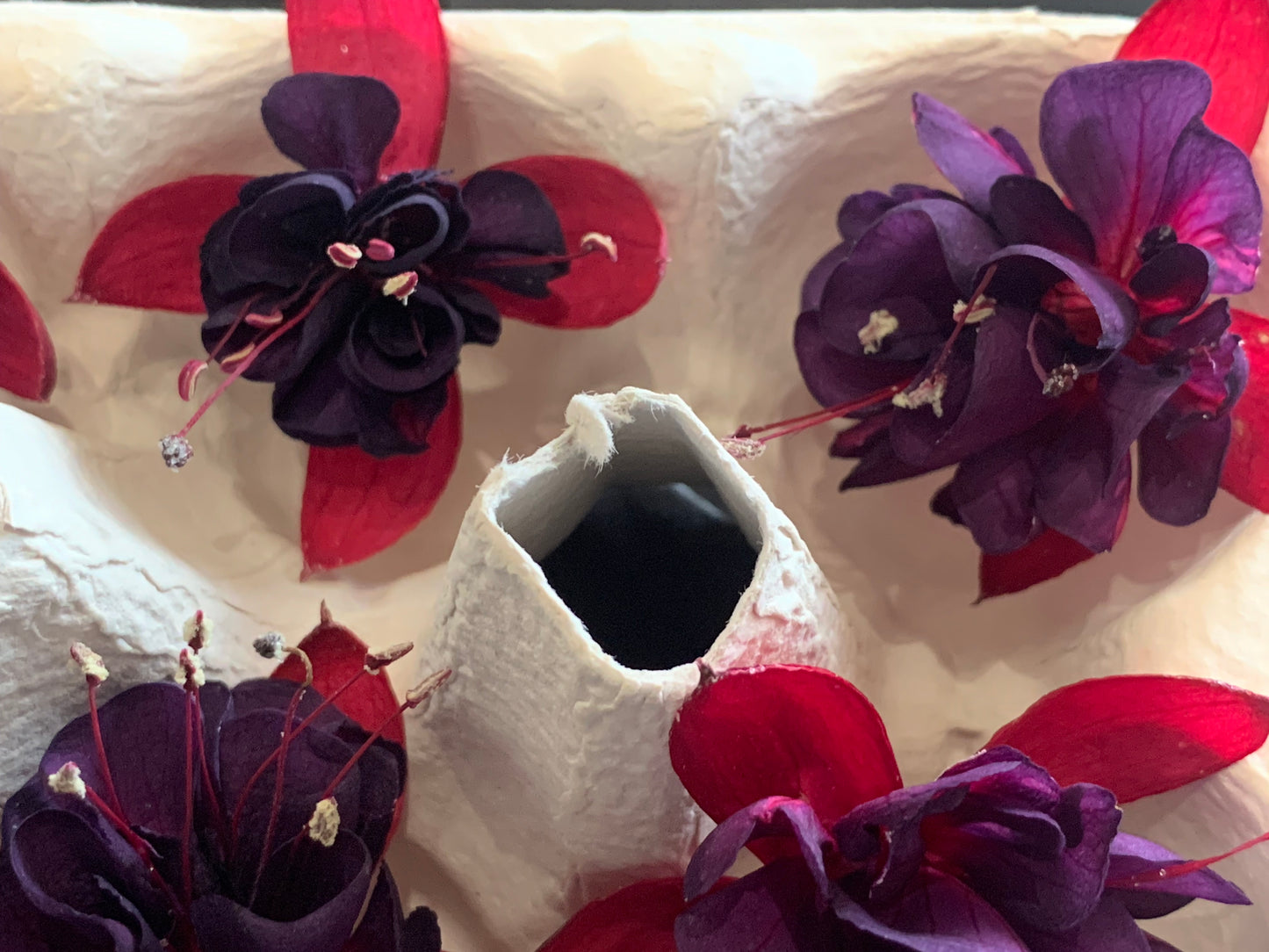 Fuchsia - 6 Real Dried Fuchsia Flowers, UK Shop, Natural Flowers, Undyed Flowers