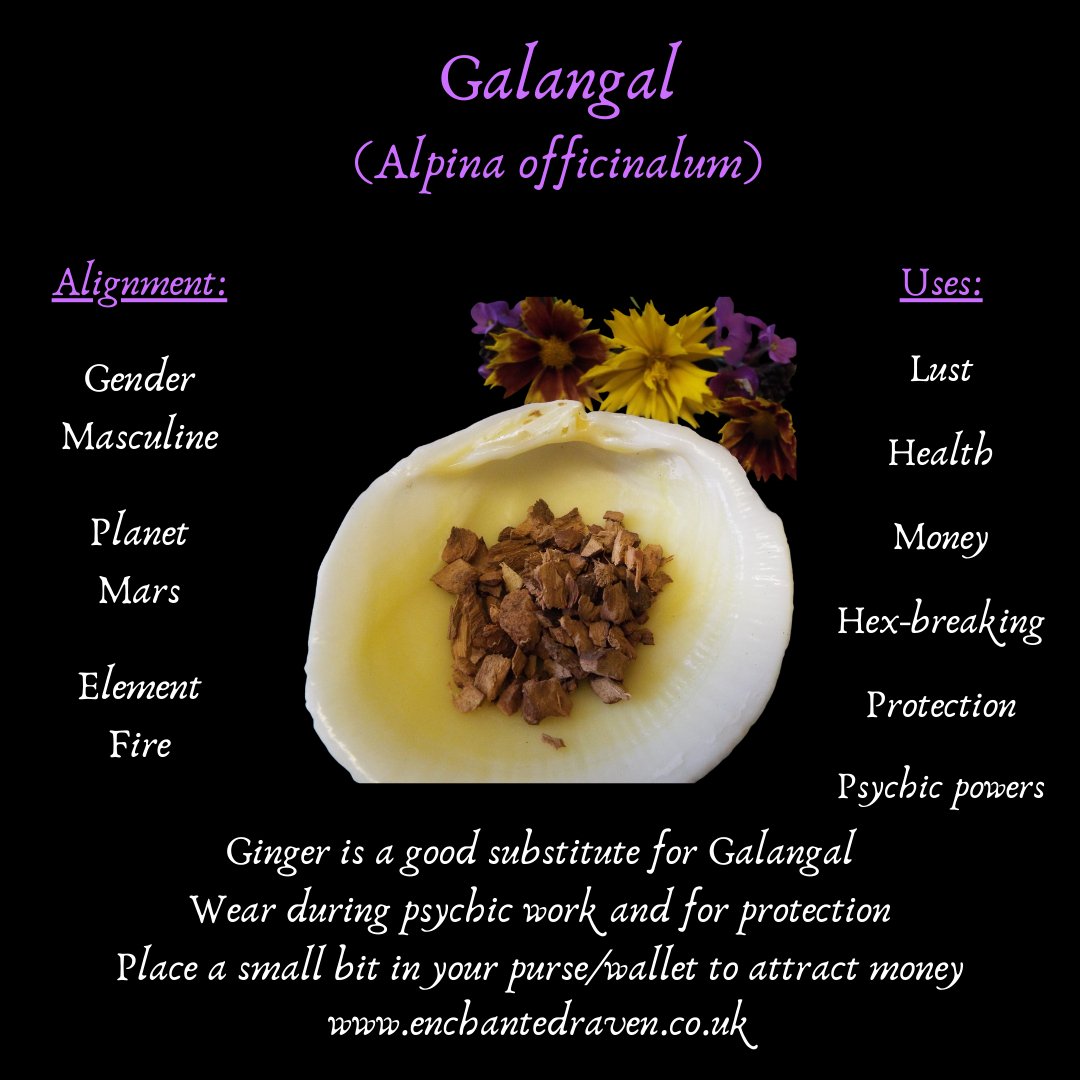 Galangal Root