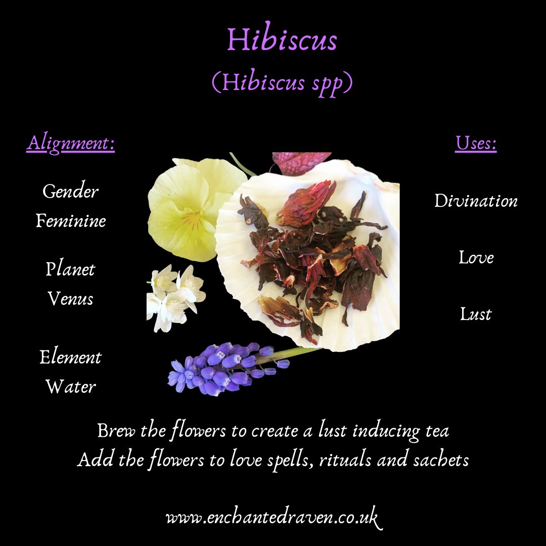 Hibiscus