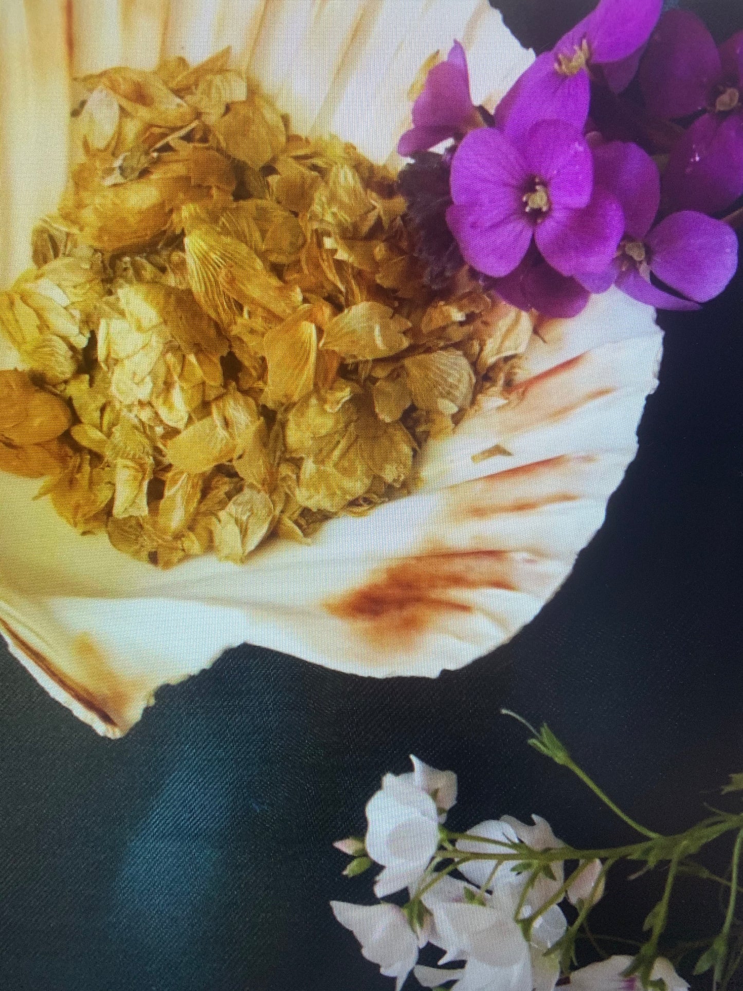 Hops - Dried Hops Flowers for Sleep, Healing & Witchcraft