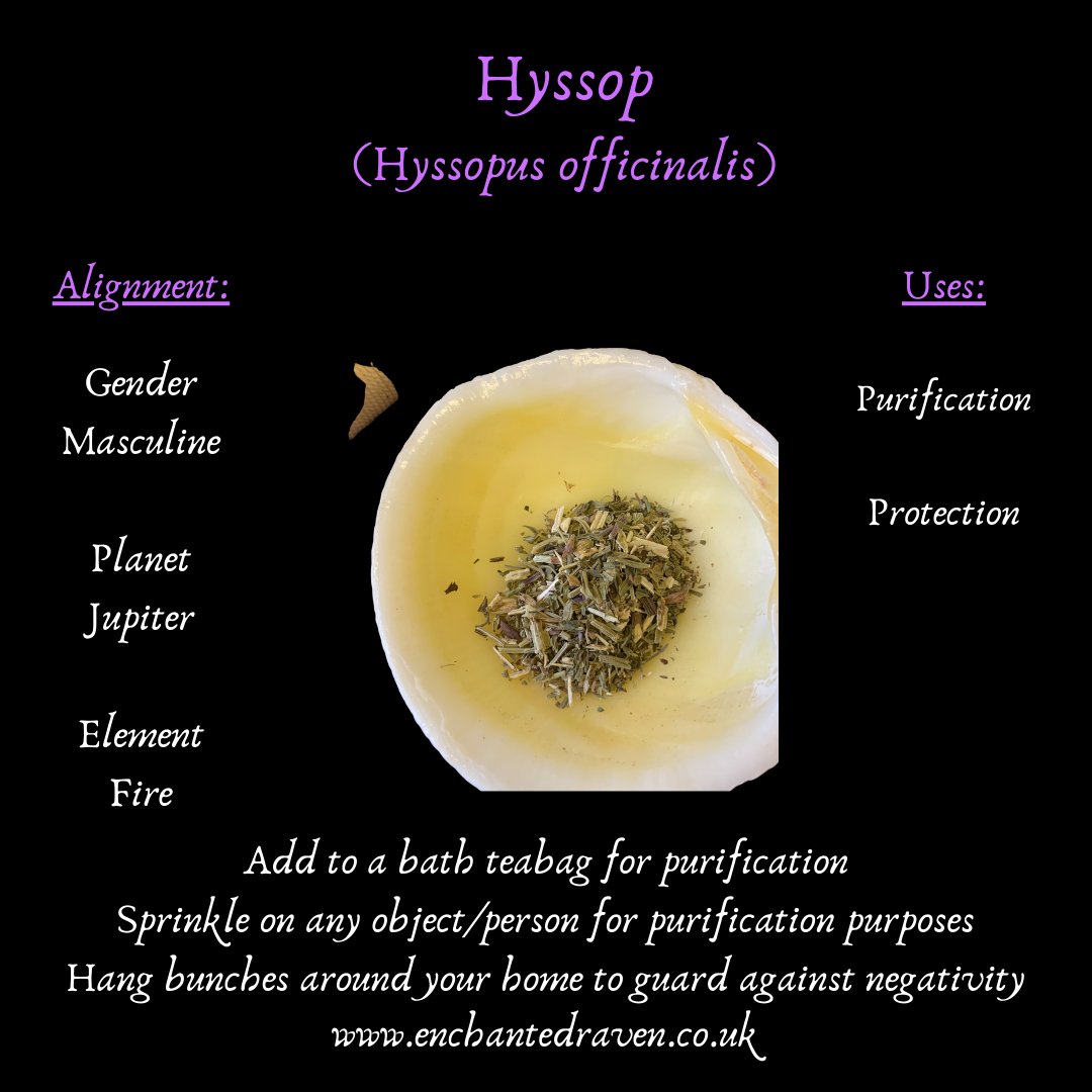 Hyssop