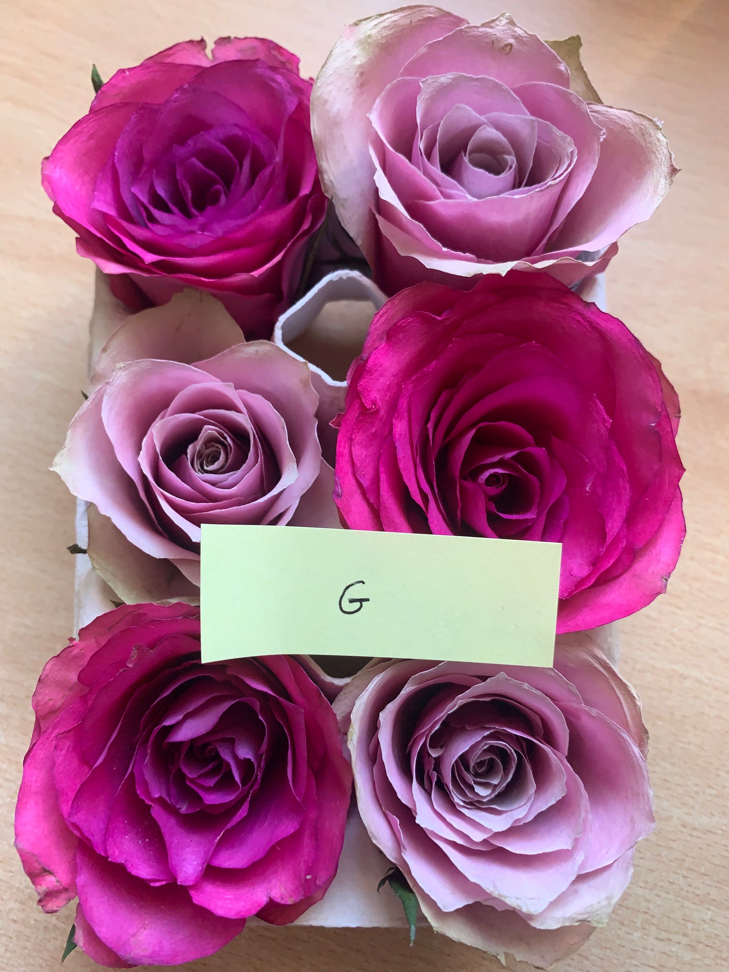 Roses - Mixed - 6 Real Dried Flowers