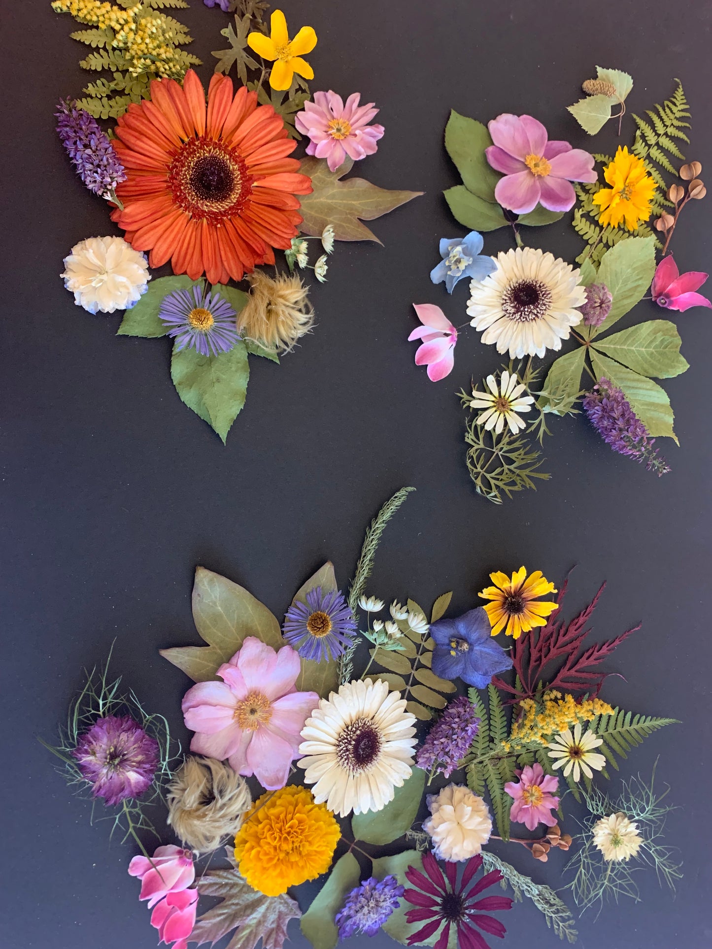 Dried Flowers and Leaves