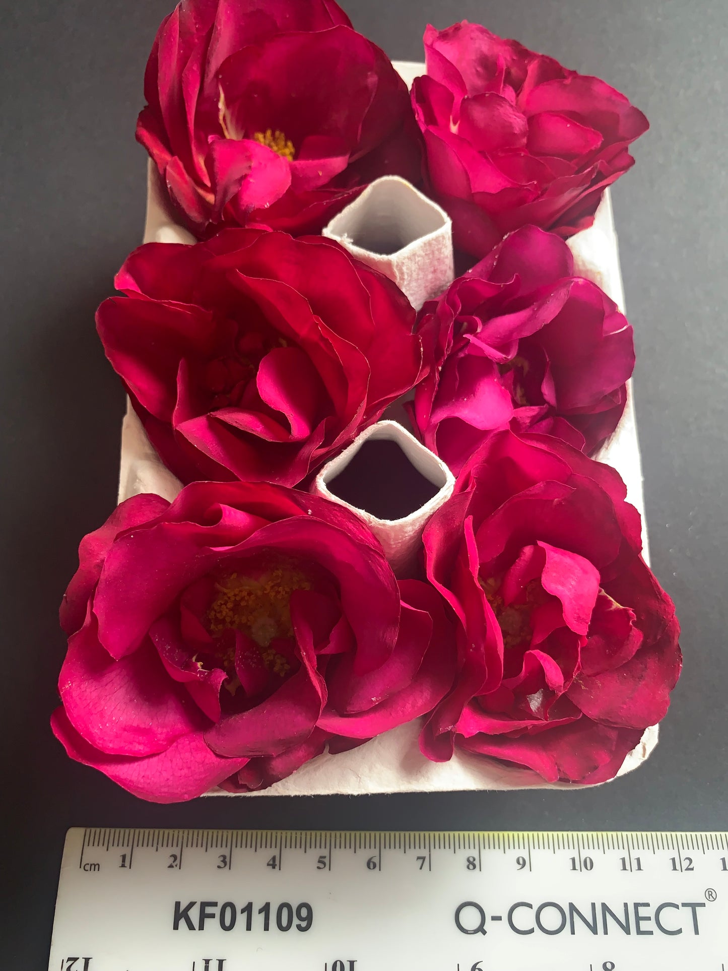 Enchanting Roses - 6 Real Dried Apothecary Rose