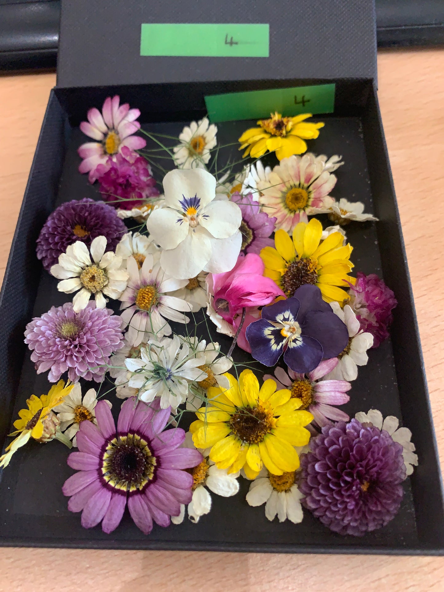 Small dried flowers - Real Dried Flowers