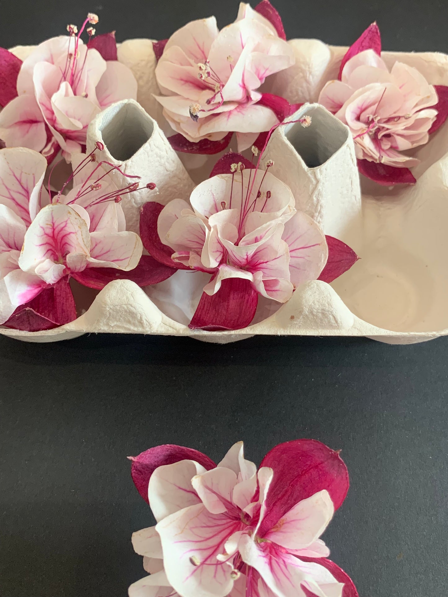 Fuchsia - 6 Real Dried Fuchsia Flowers, UK Shop, Natural Flowers, Undyed Flowers