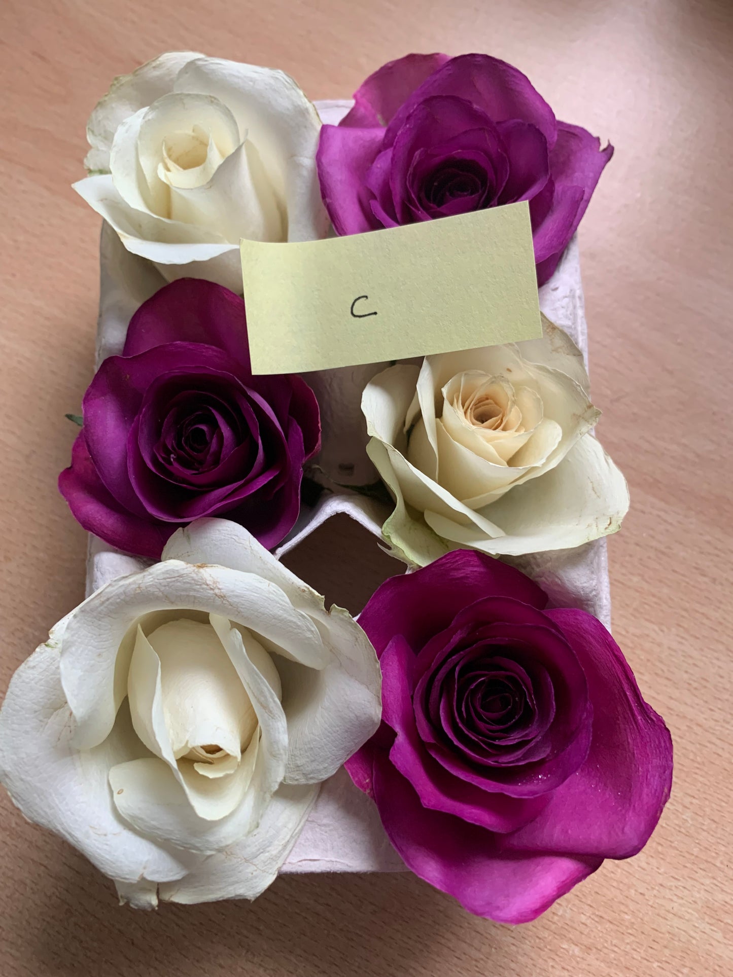 Roses - Mixed - 6 Real Dried Flowers