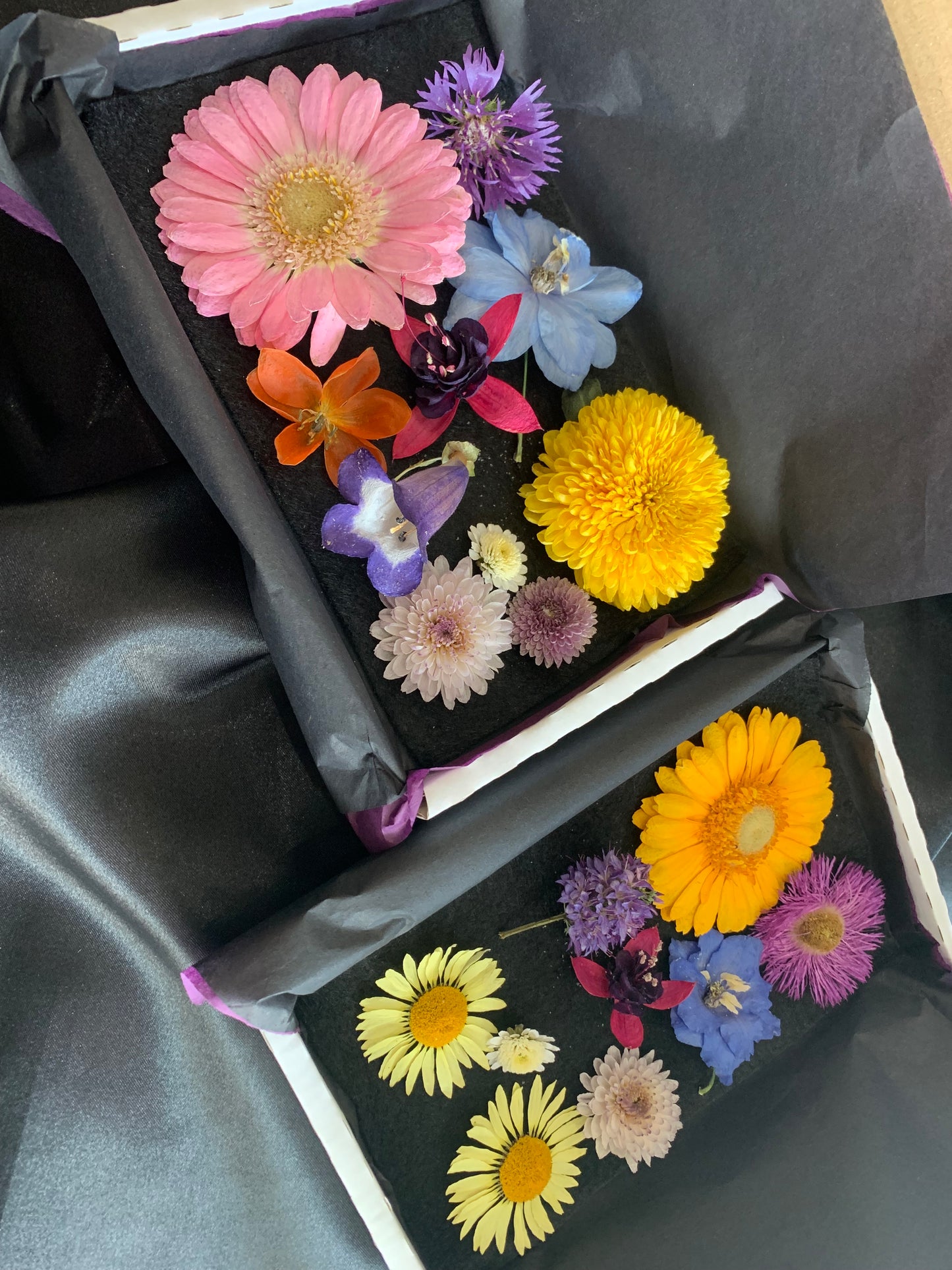 Dried Flowers and Leaves