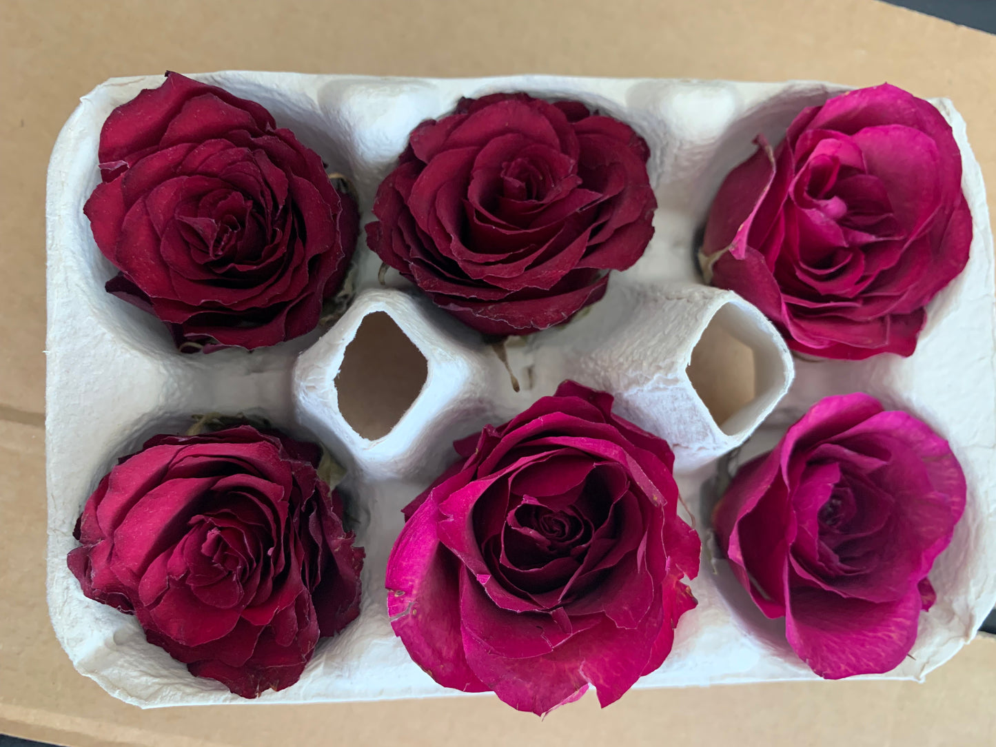 Roses - 6 Burgundy (Torch) - Real Dried Flowers