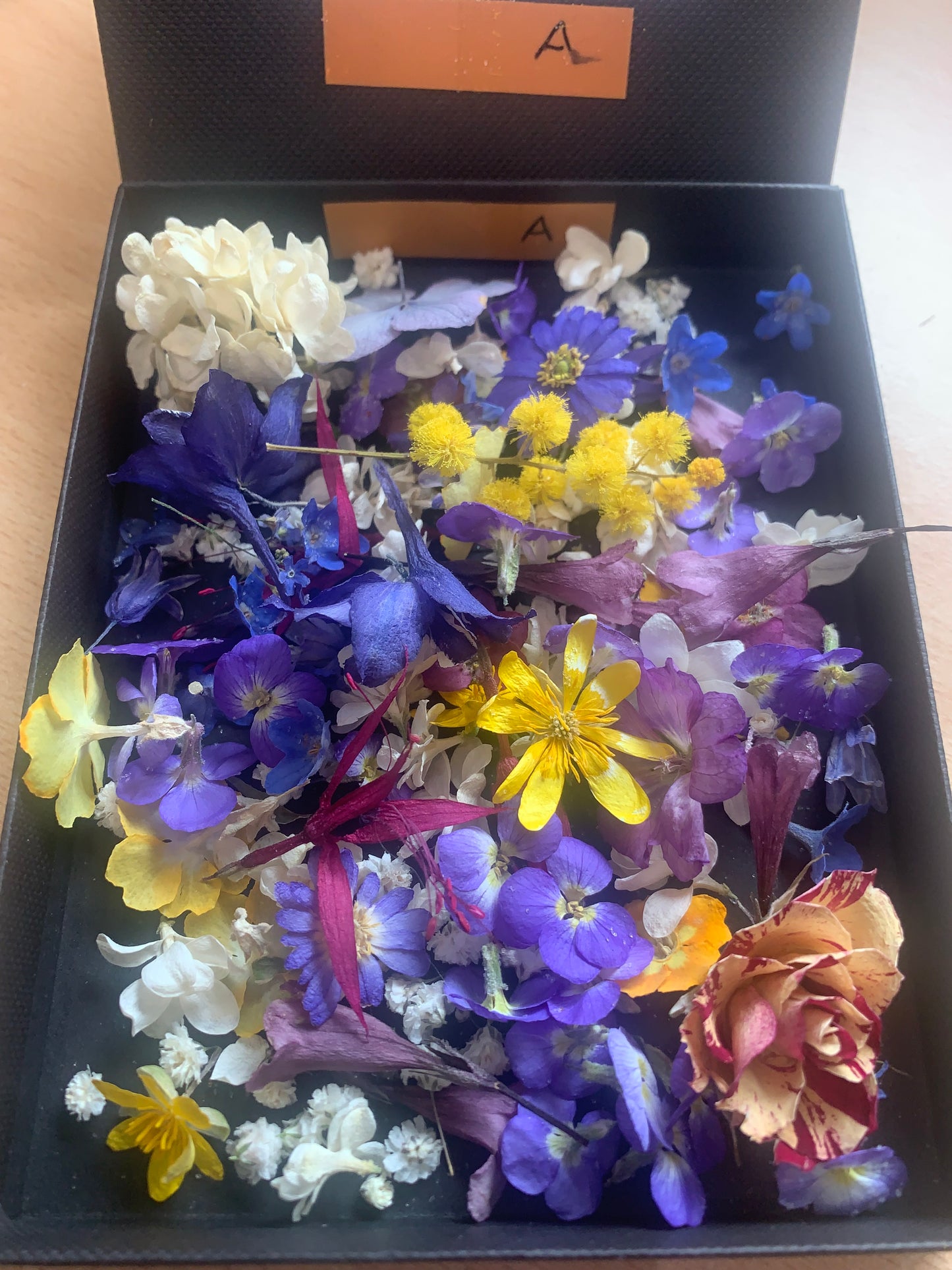 Tiny dried flowers - Real Dried Flowers