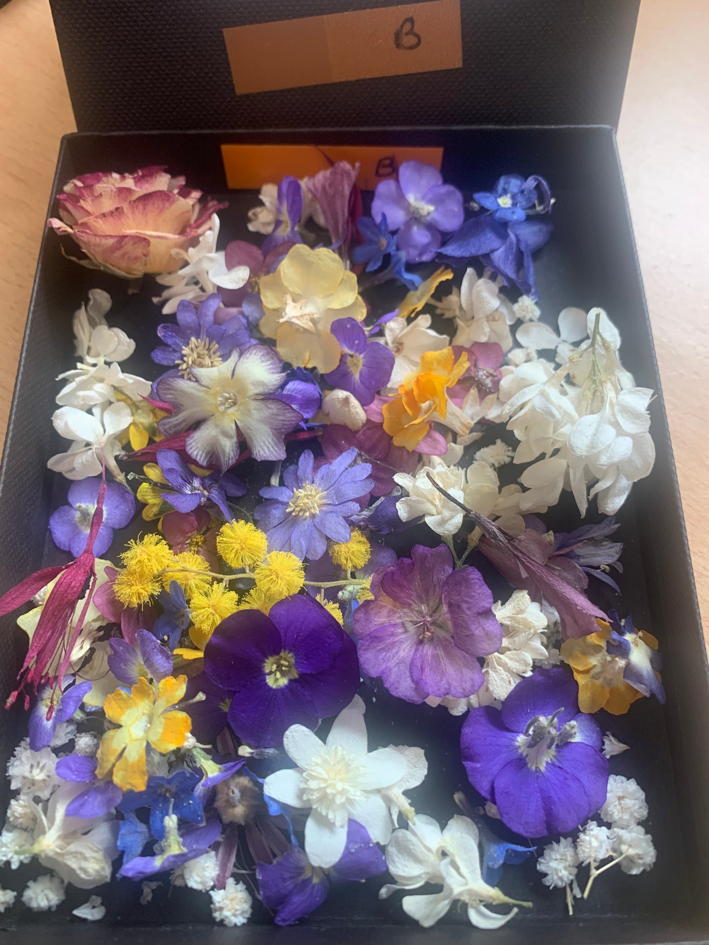Tiny dried flowers - Real Dried Flowers