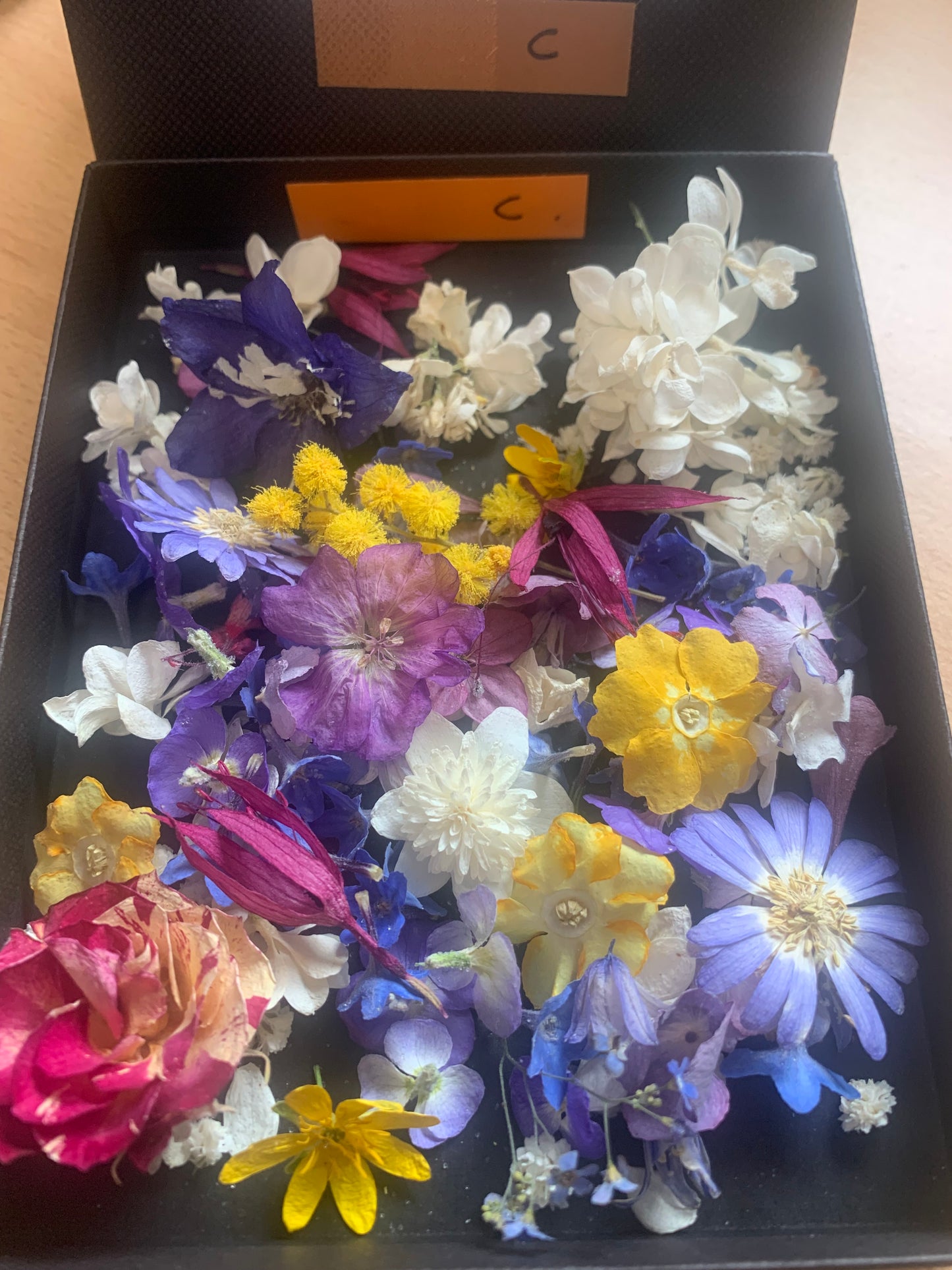 Tiny dried flowers - Real Dried Flowers