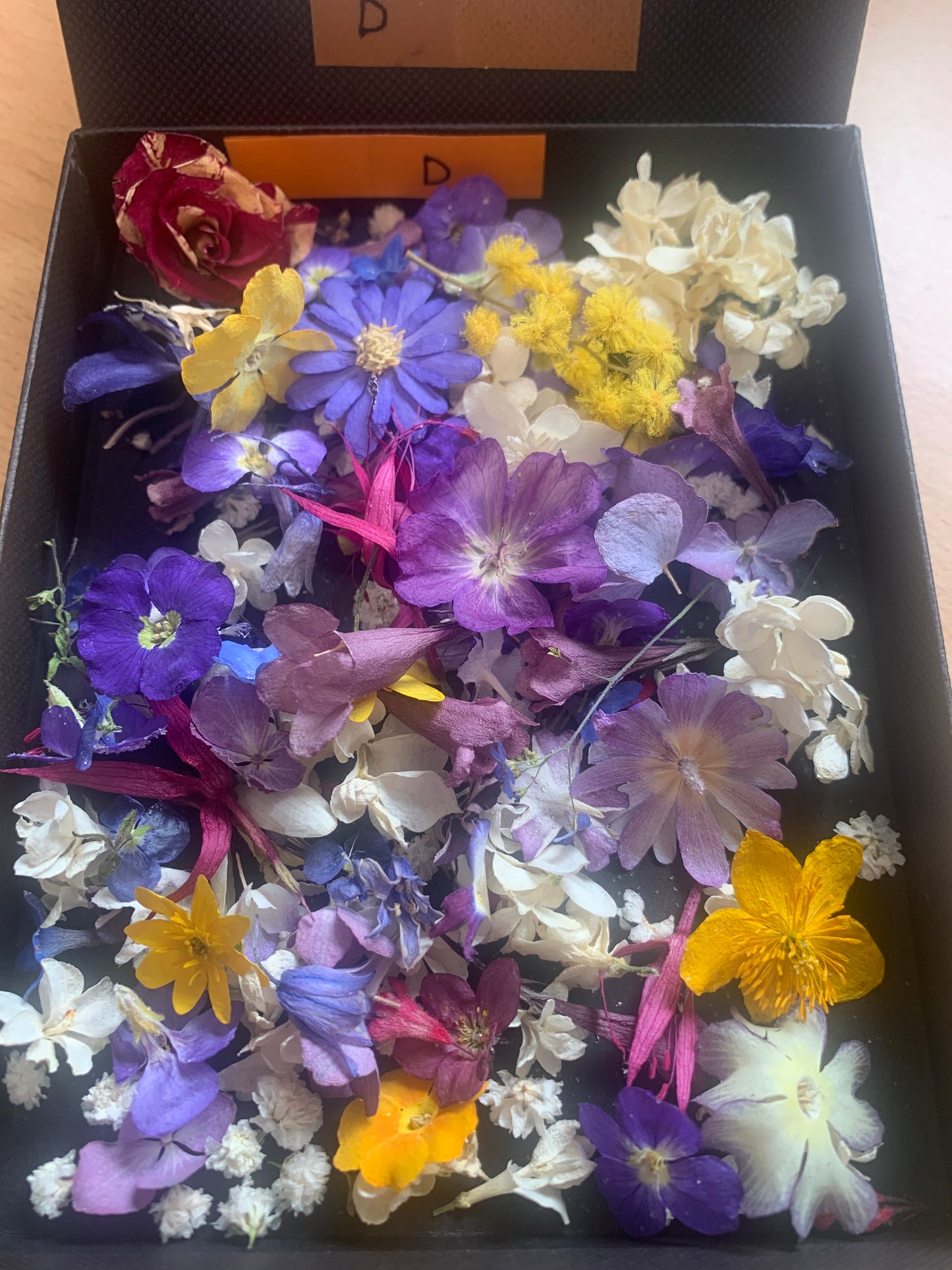 Tiny dried flowers - Real Dried Flowers