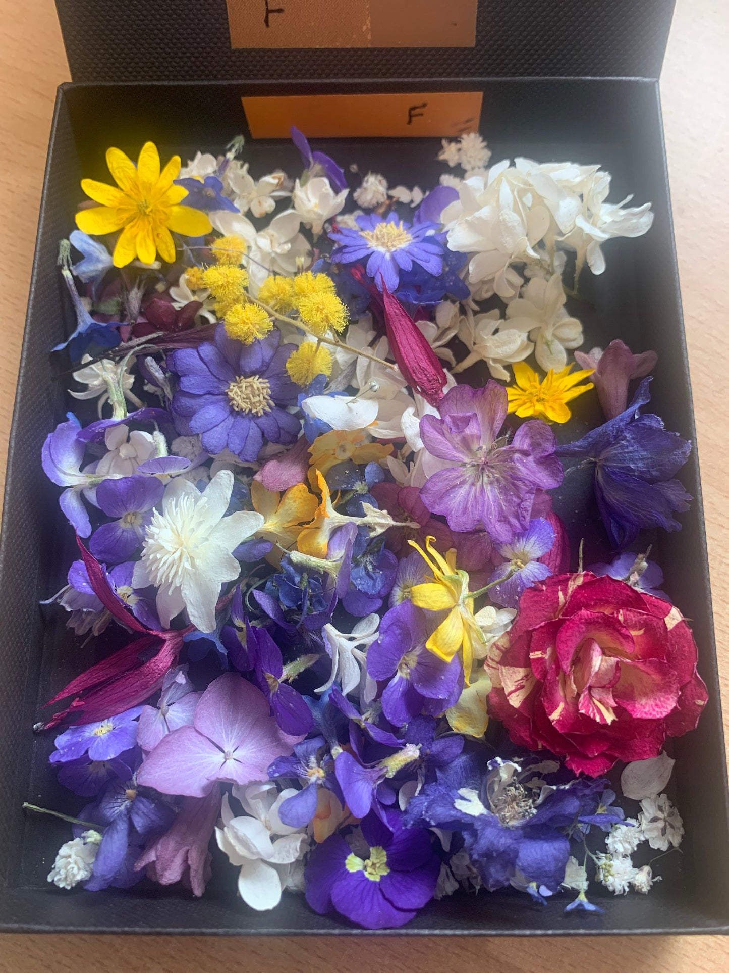 Tiny dried flowers - Real Dried Flowers