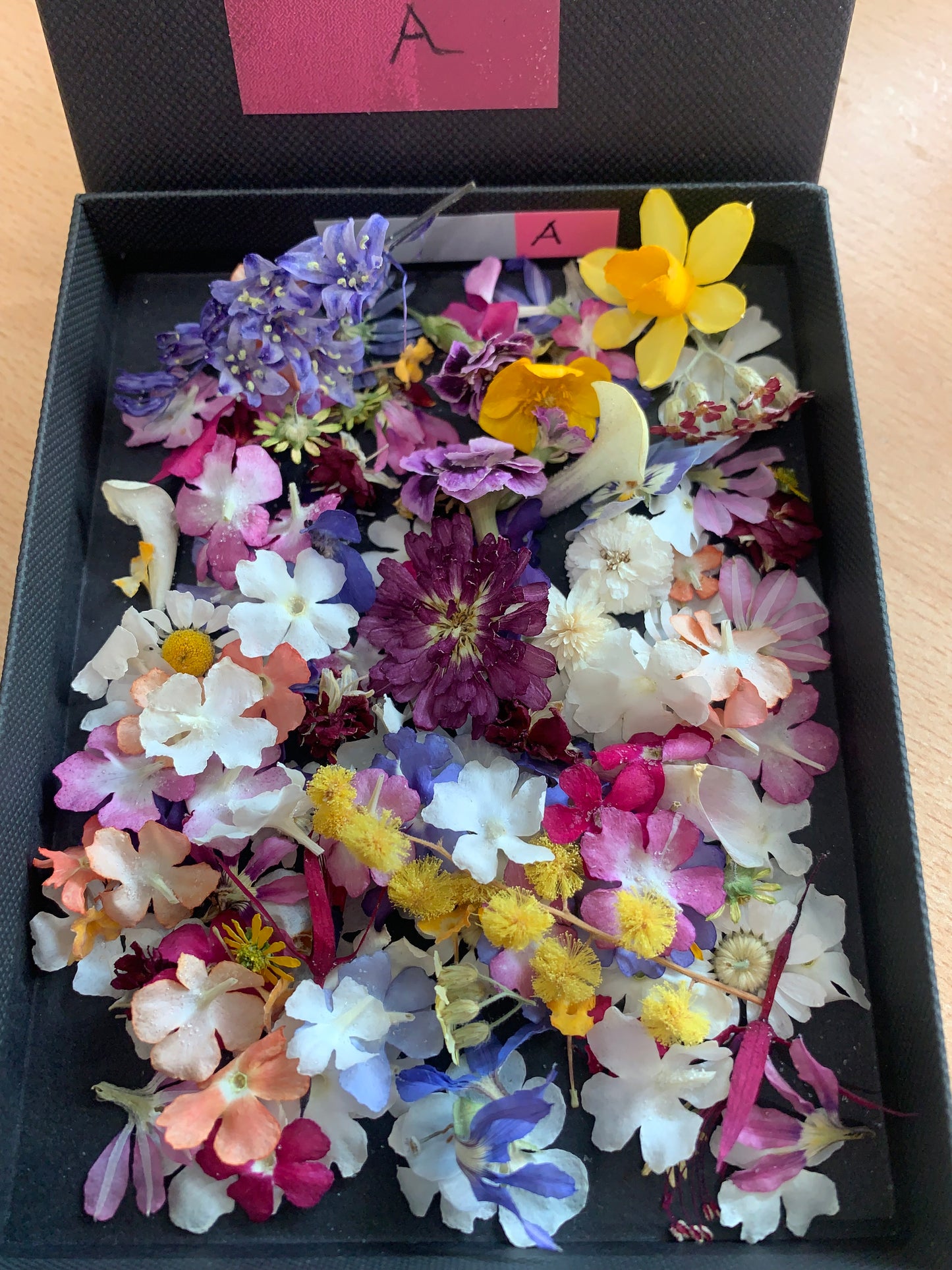 Tiny dried flowers - Real Dried Flowers