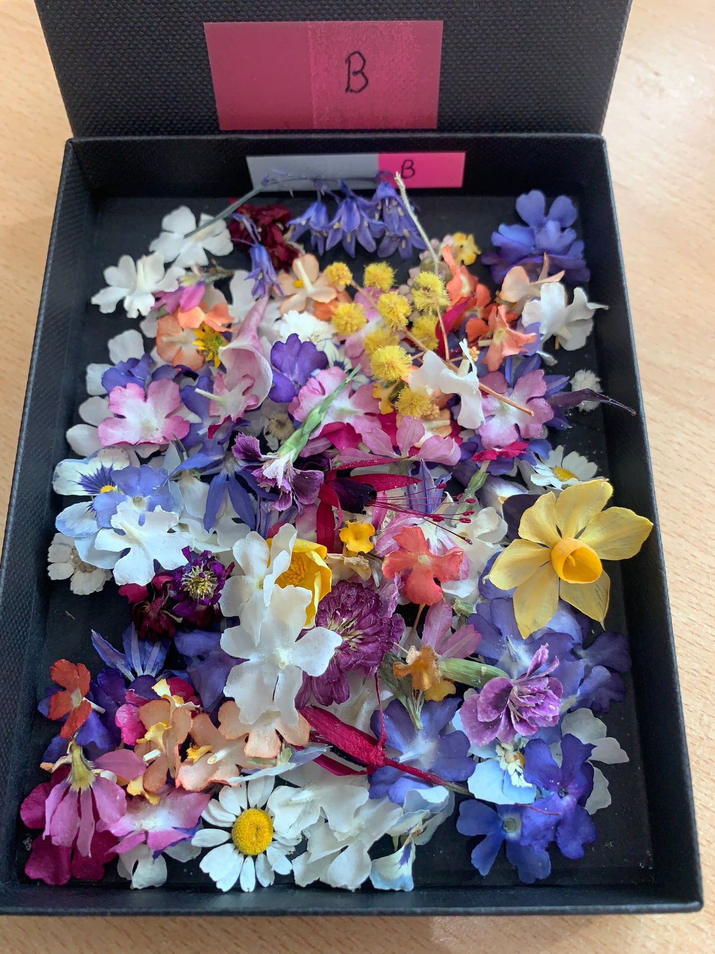 Box of assorted tiny dried flowers