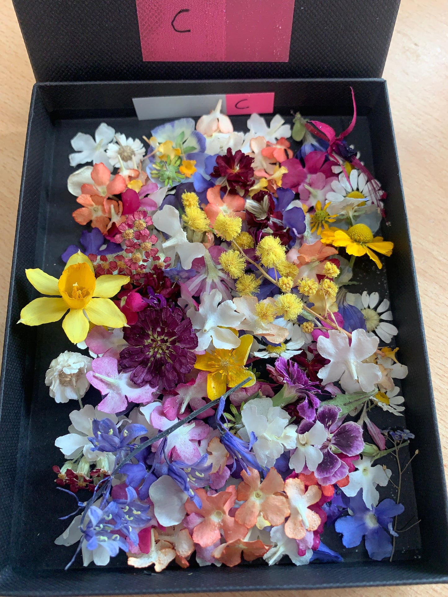 Assorted tiny dried flowers in a black box
