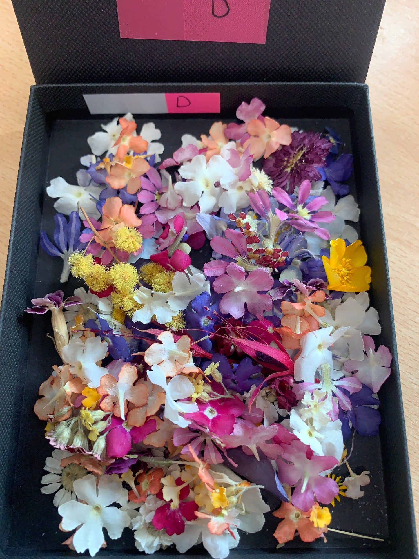black box with tiny dried flowers of pretty colours
