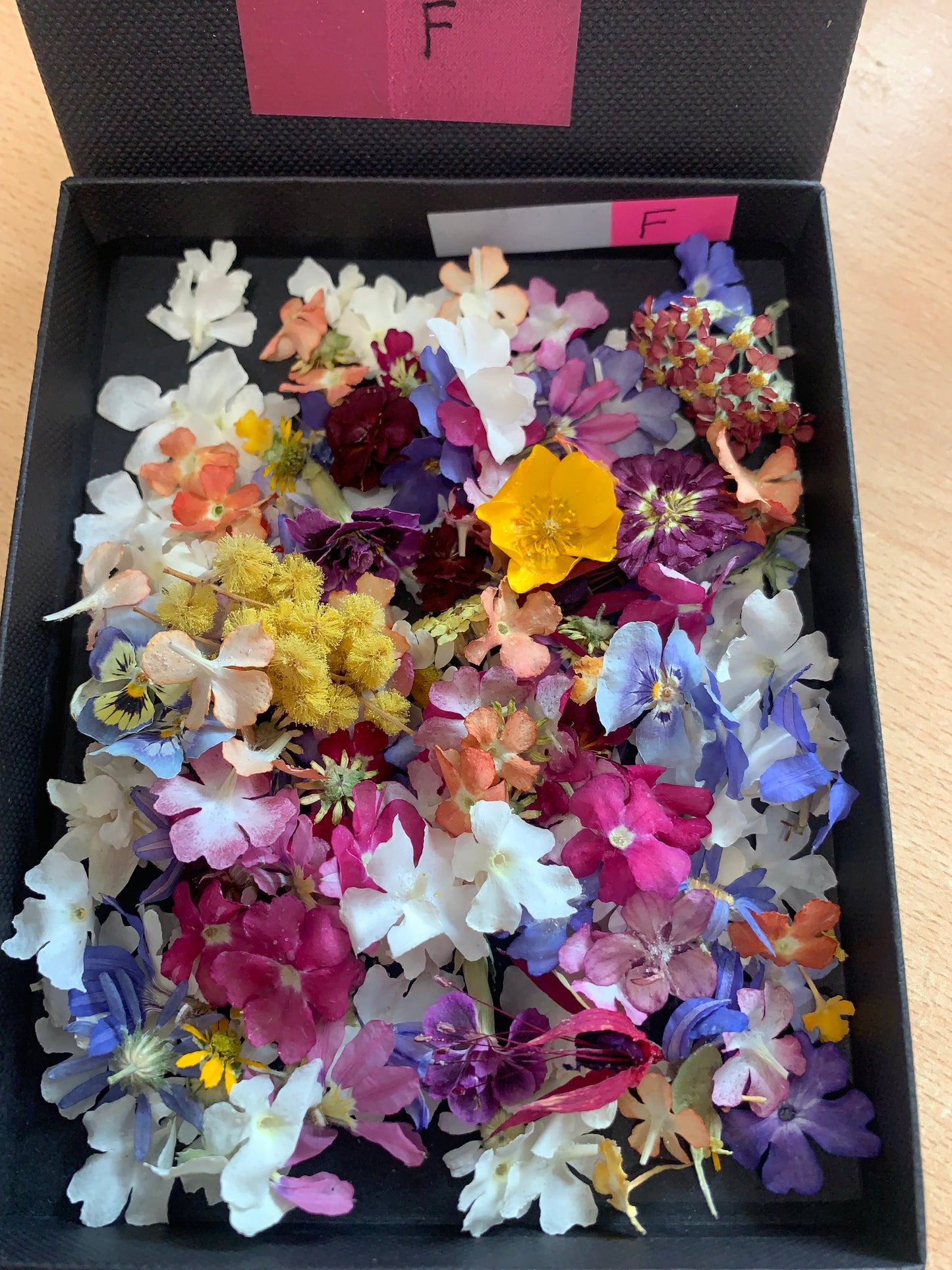 Tiny dried flowers - Real Dried Flowers
