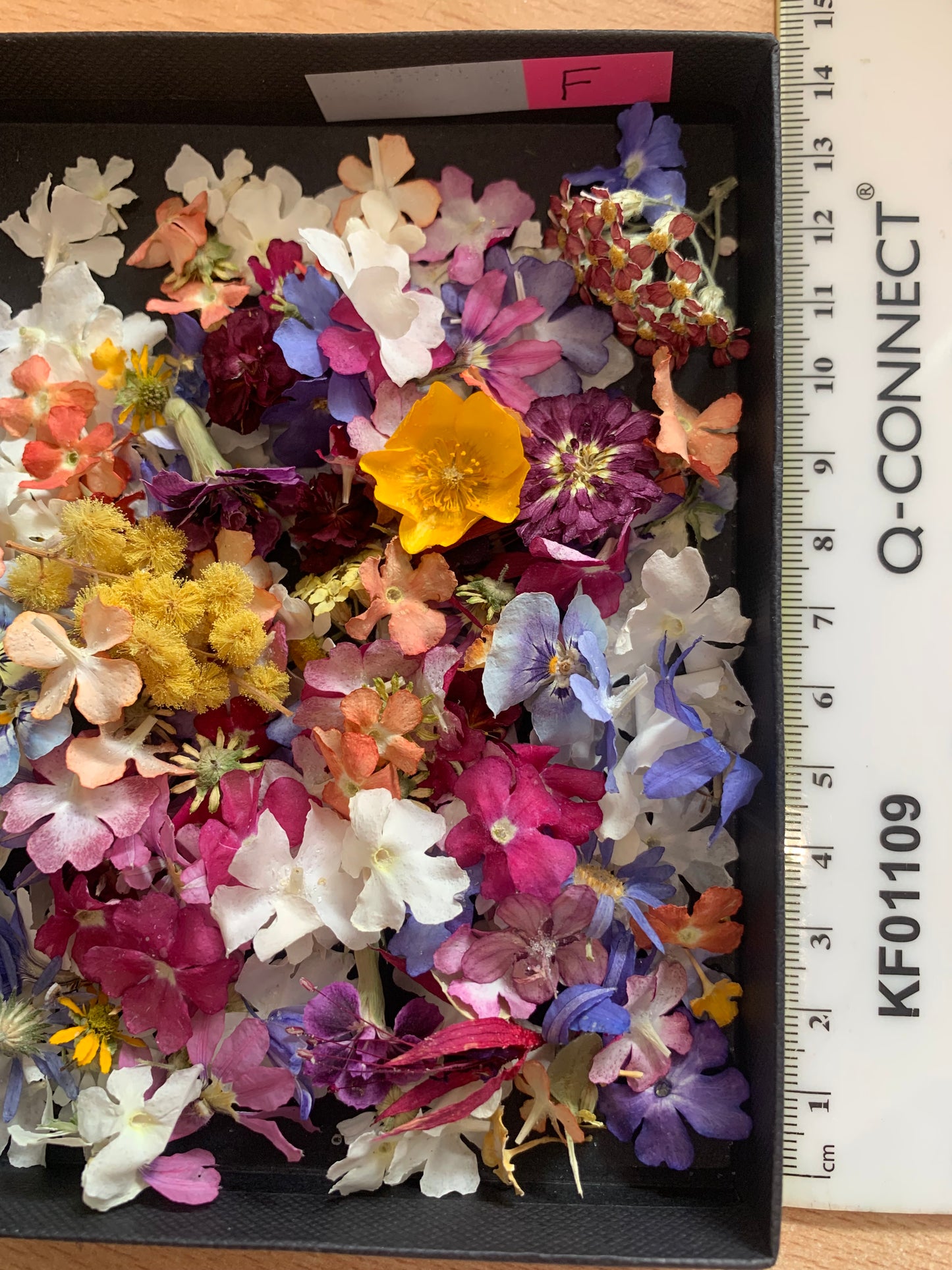 Tiny dried flowers - Real Dried Flowers