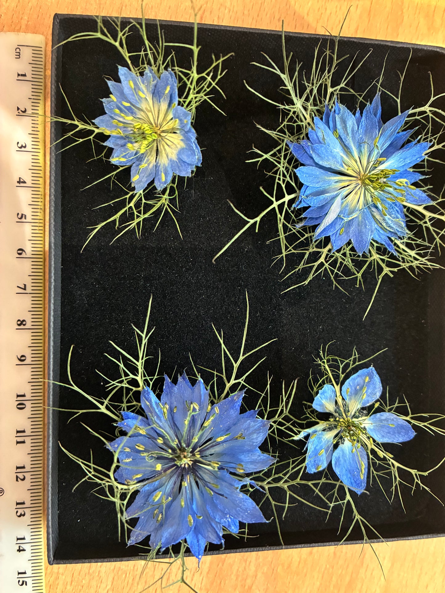 Box of 4 dried love in a mist