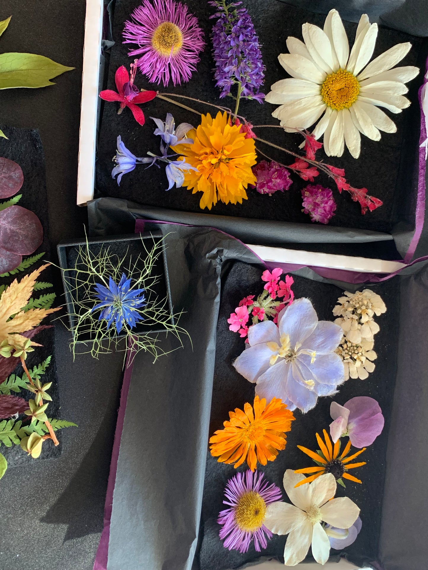 Dried Flowers and Leaves