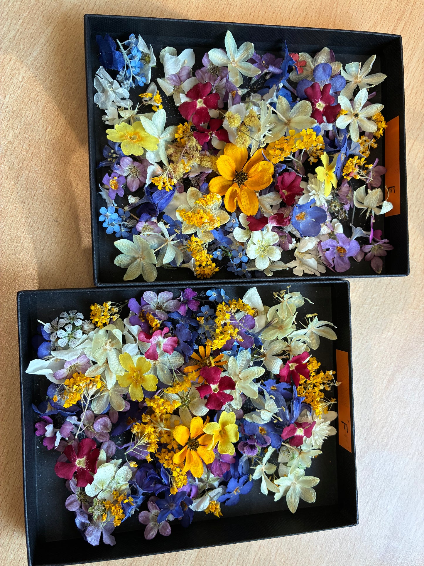 Tiny Real Dried Flowers for Resin Art, Crafts & Botanical Art