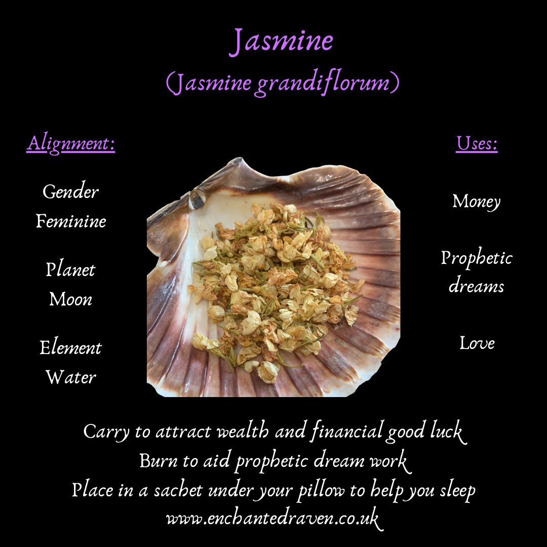 Jasmine