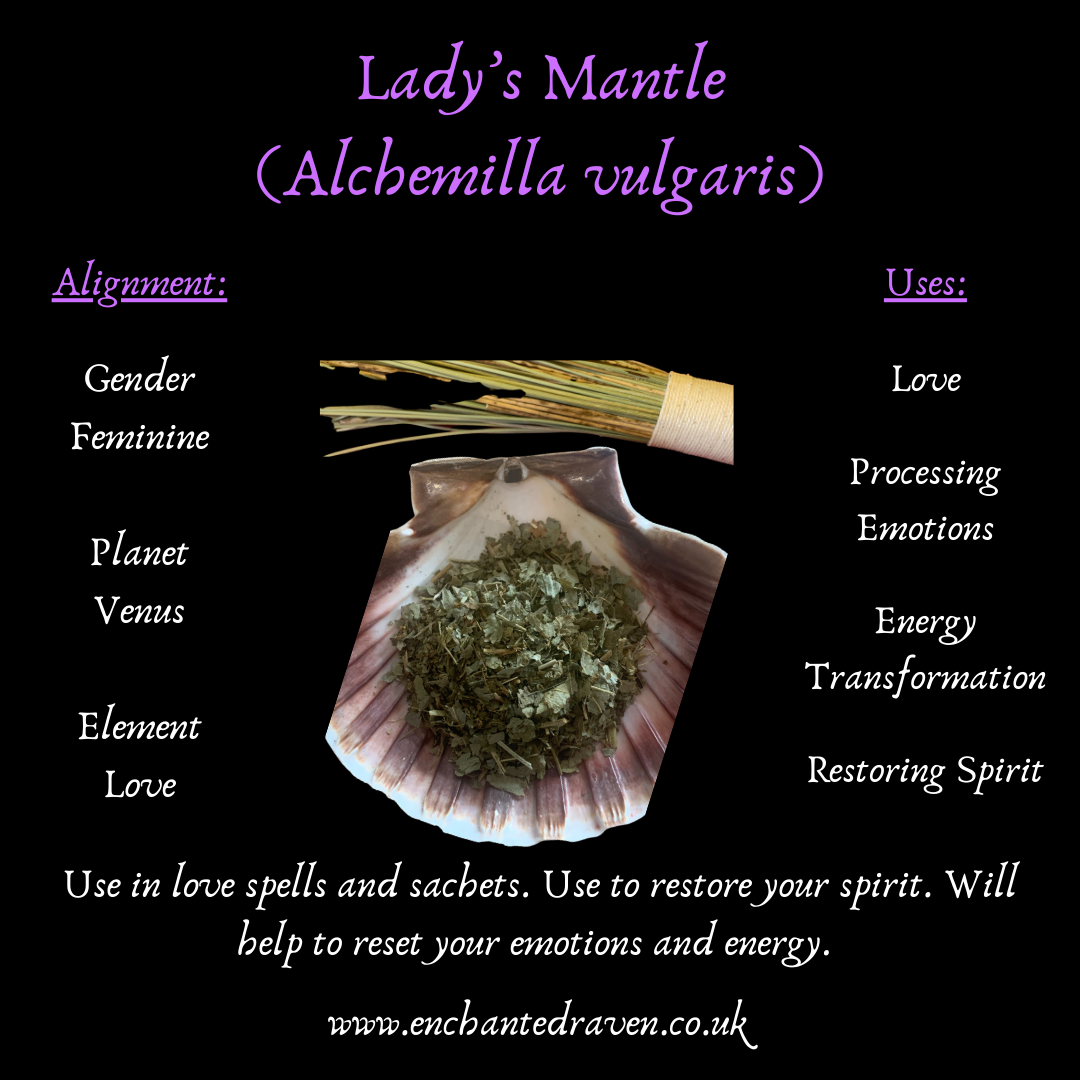 Ladies Mantle - 10g