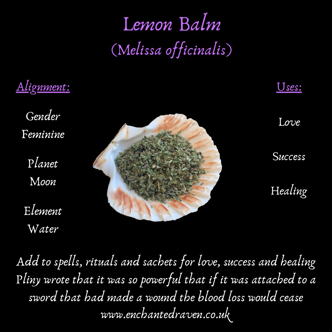 Lemon Balm