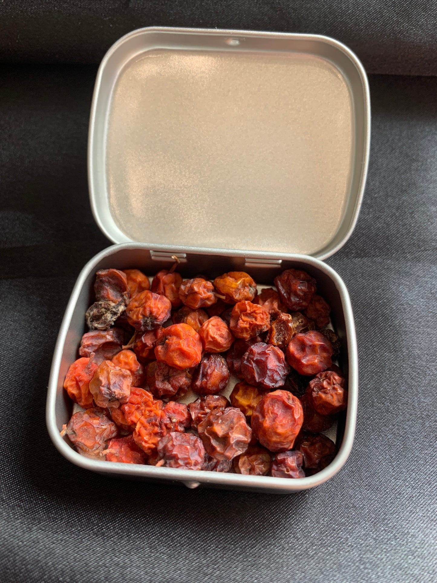 Mountain Ash Berries