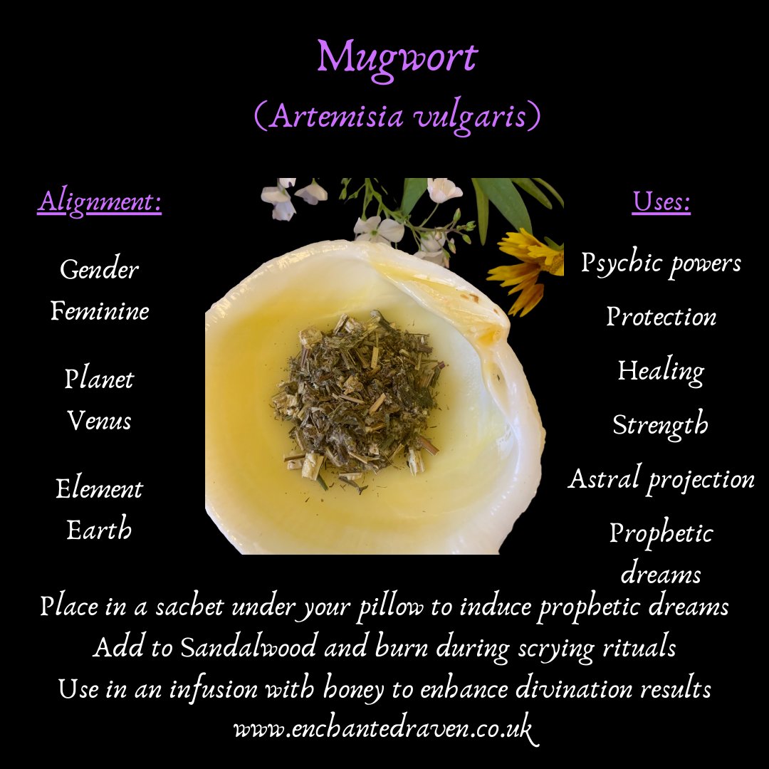 Mugwort - 10g Dried Herbs for Witchcraft