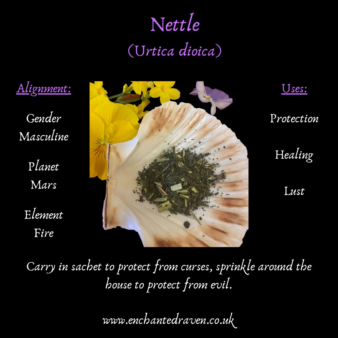 Nettle