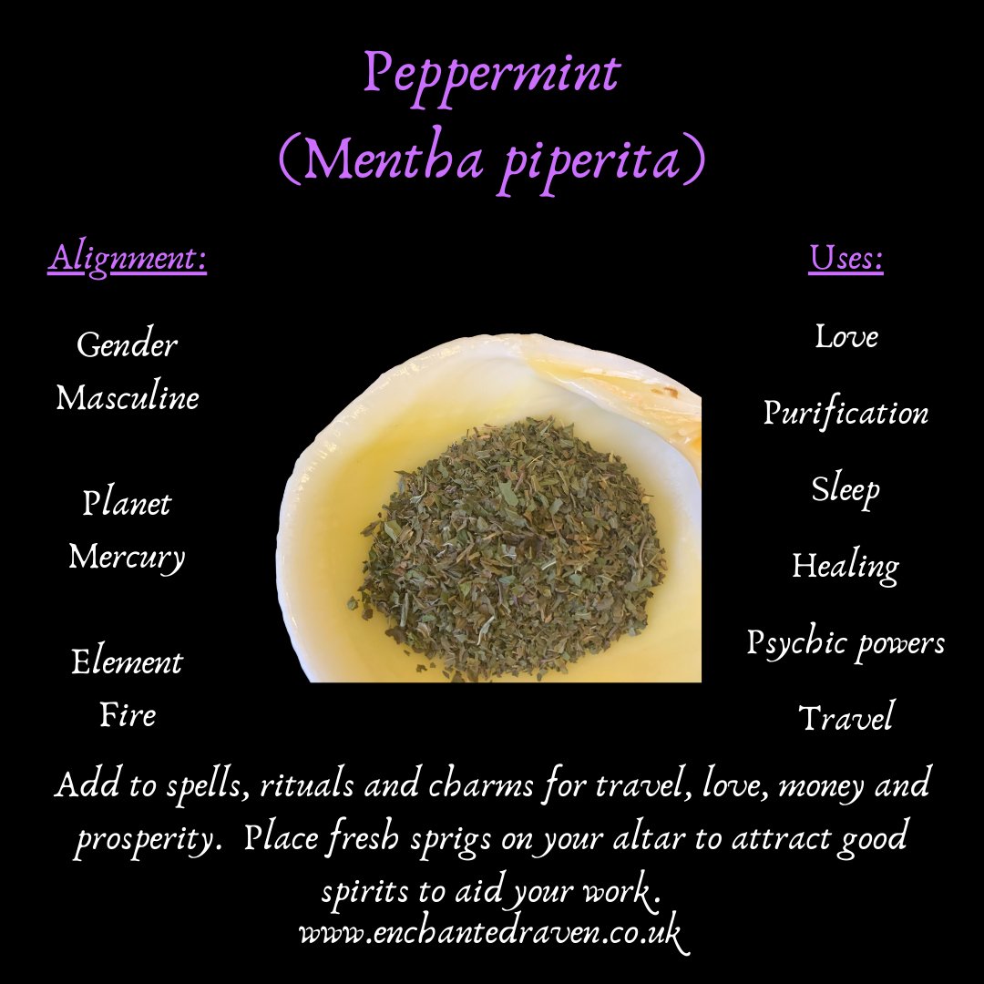Peppermint - Witchcraft Herb for Purification & Love