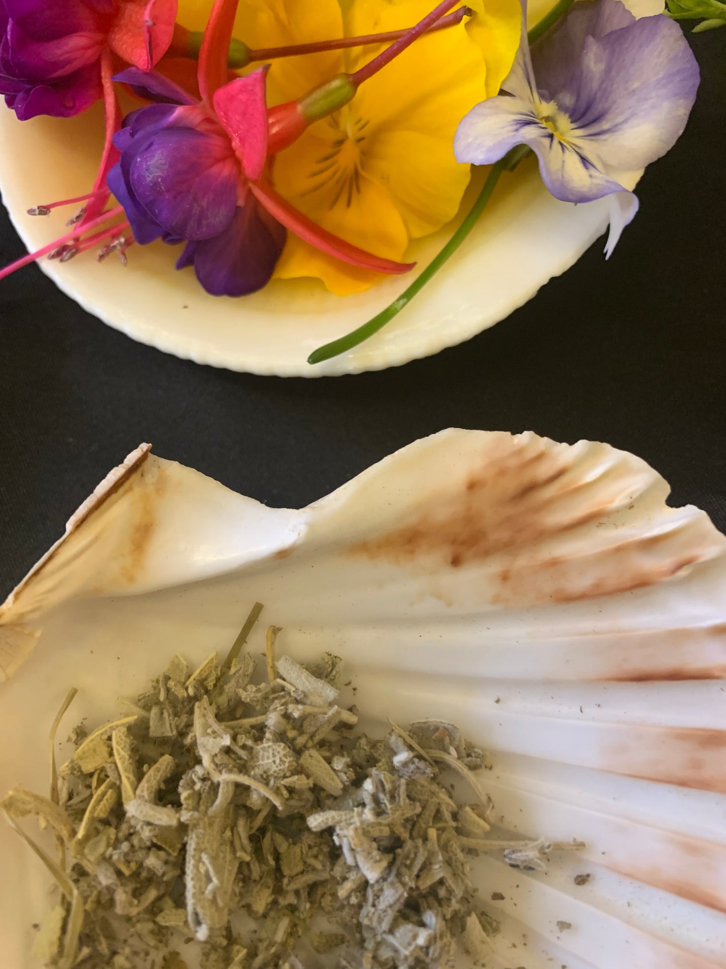 Sage - Californian White
