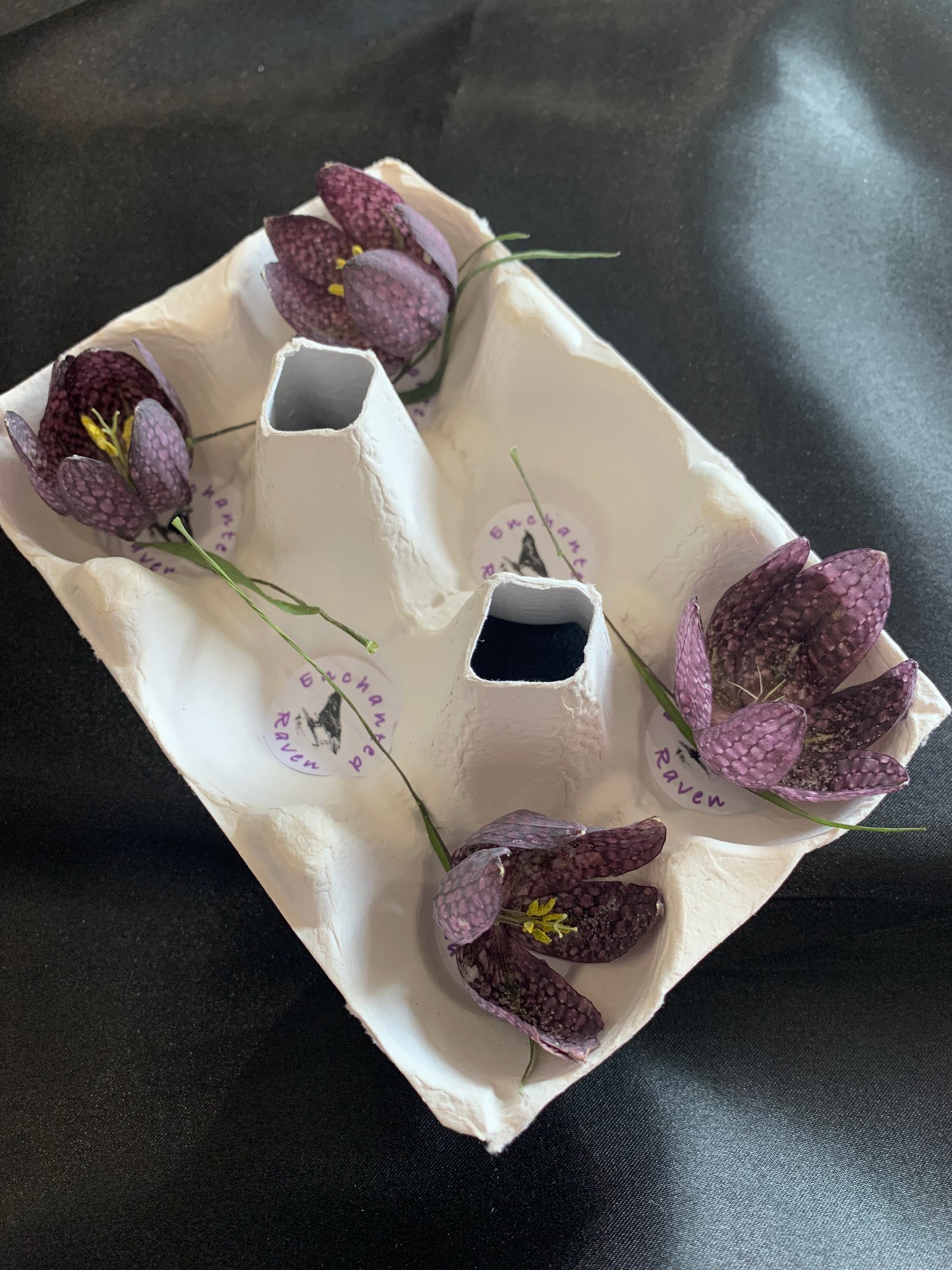 Snakes Head Fritillary - 4 or 6 Real Dried Snakes Head Fritillary Flowers